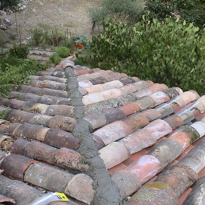 Charpente et toiture