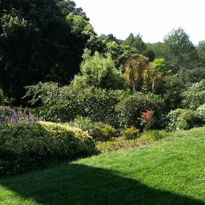 Entretien de jardin
